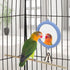 Hypeety Pet Bird Mirror with Bell, Interactive Parrot Toy for Cockatiel, Parakeets, Canaries, Budgie (Blue)