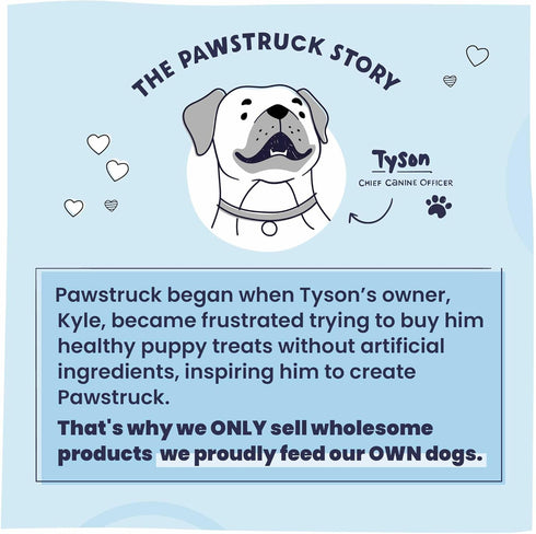 Recommended, 2lb Pawstruck Air Dried Dog Food with Real Beef, Grain-Free, Made in USA, Non-GMO & Vet High Protein
