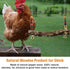 (2pcs) Chicken Bird Swing,Chicken Perch,Natural Wooden Swing Toys,Wood Stand for Chick,Safe and Relief