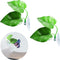 2Pack Beta Leaf Bed Fish Resting Leaf Betta Hammock for Aquarium Plants and Betta Fish Accessories