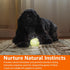 Amazon Basics 3-Pack Glow Toy Dog Balls, 2.5-Inch, Beige