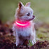 Light Up Collar for Small Dogs & Cats - Reflective LED Dog Collar for Nighttime Walking (Pink)