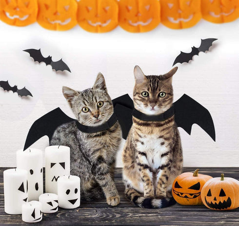 Tealots Halloween Dog Costume - Adjustable Pet Bat Wings for Small Medium Large Dogs, Funny Cat Outfit (L)