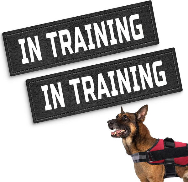 Dog Vest Patches - Service Dog/in Training/Emotional Support/Therapy Dog/DO NOT PET PU Patches with 2 Free Dog Tags