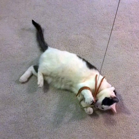 Leather and Fur Attachment Cat Toys, Ribbon Fit Wildcat and Bird Catcher Type Wands/Poles (Leather Tassels)