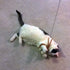 Leather and Fur Attachment Cat Toys, Ribbon Fit Wildcat and Bird Catcher Type Wands/Poles (Leather Tassels)