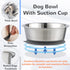 Stainless Steel Dog Bowl Set of 2, Metal Bowls with Suction Base, Rubber Bottom & Easy Clean (Gray, 2 Pack)