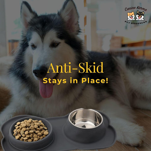 Slow Feeder Dog Bowls, No-Spill Non-Skid Silicone Mat, Stainless Steel Water Bowl for Dogs, Canine Karma
