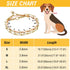 Gold Stainless Steel Dog Pinch Collar, Adjustable No Pull Martingale Training Collar for Medium & Large Dogs