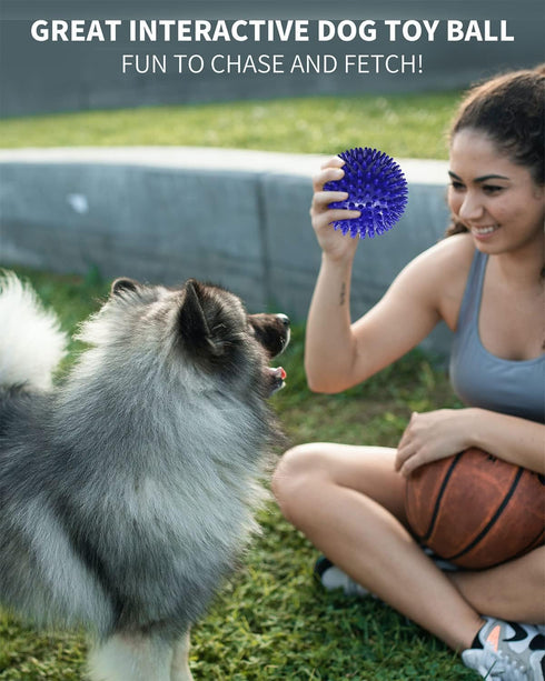2 Pack 4.5” Heavy Duty Squeaky Dog Ball for Medium Large Dogs, Spikey Toys for Clean Teeth and Training