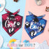2 LEIFIDE Pieces Gender Reveal Baby Announcement It's a Girl or It's a Boy Dog Bandana Pregnancy Plaid Triangle Pet