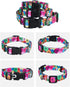 Rhea Rose Dog Collar for Small Dogs, Floral Pattern for Girl and Boy Dogs