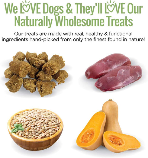 Smart Cookie All Natural Duck & Squash Dog Treats - Grain Free, Chewy, Human-Grade, 5oz Bag for Allergies