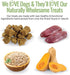 Smart Cookie All Natural Duck & Squash Dog Treats - Grain Free, Chewy, Human-Grade, 5oz Bag for Allergies