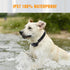 Dog Training Collars with Remote - Shock Collar for 2 Dogs, Waterproof E-Collar with 3 Correction Modes, 1000' Range