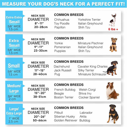Pawtitas Lumberjack Padded Martingale Collar for Dogs, Soft Neoprene, Reflective Band, Medium Teal, Fits Small and