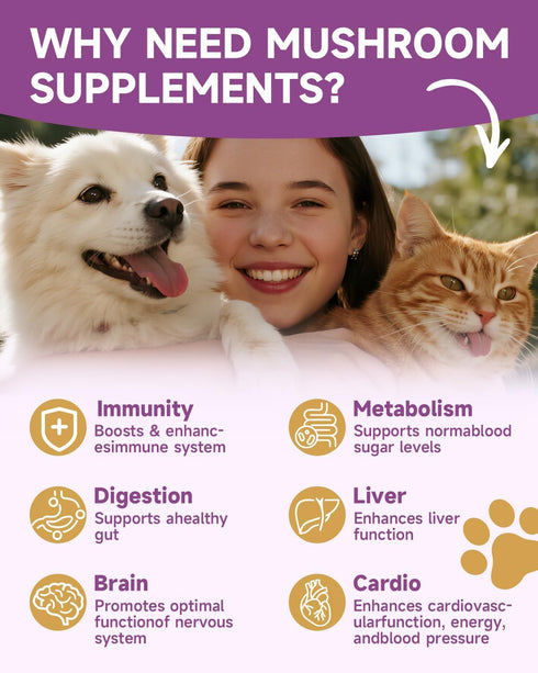 10 Immunity, Mushroom for Dogs & Cats - Turkey Tail for Dogs - Organic Mushroom Supplement with Turkey Tail, Reishi