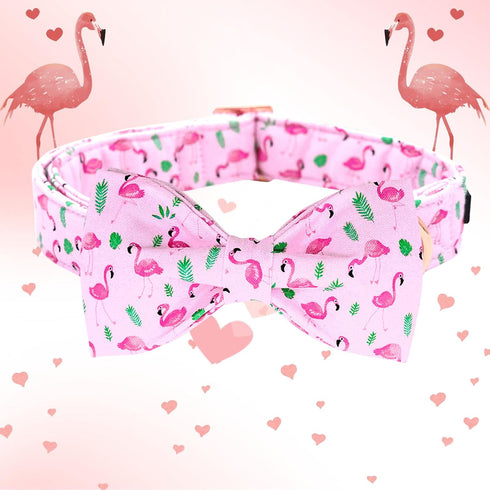 Lionheart Glory Dog Bow Collar, Valentine's Day Dog Collar for Small Dogs, Pink Collar with Bowtie Spring Design