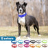 Cunno 12 Pcs Reflective Martingale Collar for Medium Dogs, Adjustable Nylon Pet Collar, Prevent Slipping Out, 12 Colors