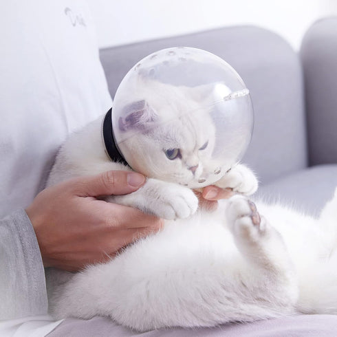 Cat Muzzle and Boots, Adjustable Helmet for Grooming, Breathable Hood Face Mask for Shaving Head Bubble Cover, Anti