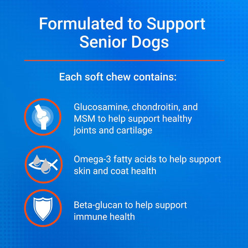 Omega-3s Immune 60 Count Nutramax Cosequin for Senior Dogs Joint Health Supplement, Contains Glucosamine for Dogs
