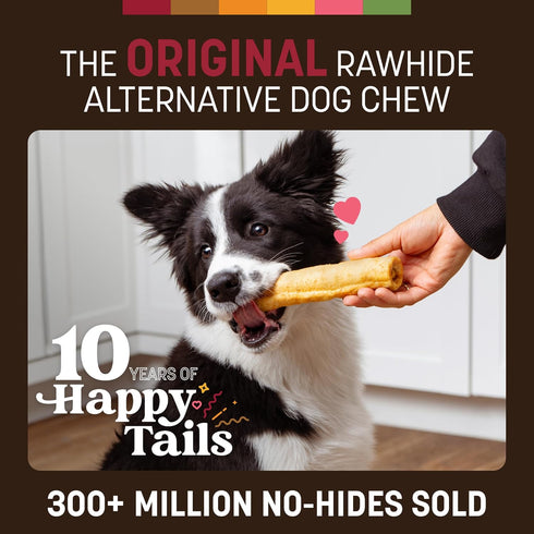 2 Count Earth Animal No Hide Chews - Long Lasting Rawhide Free Medium Dog Chews Rolls, Beef