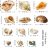 Hermit Crab Shell - Openning Size 0.6"-2" Medium to Large Growth Turbo Seashells Natural Sea Shells for Hermit Crab Supplies, Aquarium Décor, Nautical Decoration (12 Pcs)