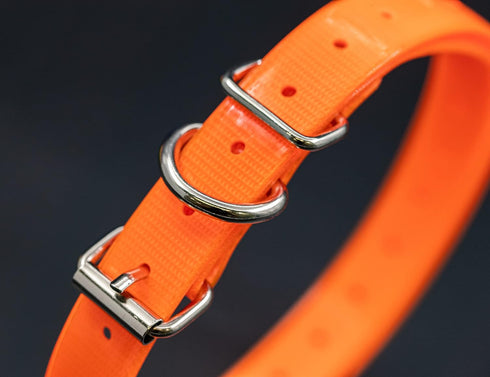27 ½” X ¾” Replacement Dog Collar Strap Band with Double Buckle Loop for Pet Training and Fences