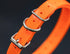 27 ½” X ¾” Replacement Dog Collar Strap Band with Double Buckle Loop for Pet Training and Fences