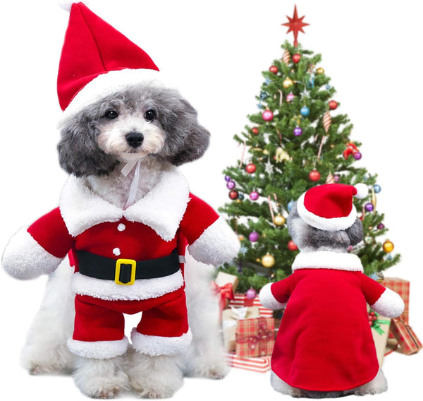QETRABONE Small Santa Dog Cat Costume, Xmas Party Outfit, Red Santa Claus Hat & Scarf, X-Large