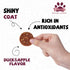 12.5 oz PAWUP Duck Jerky Dog Treats Duck & Apple Sausage Slices, Training Treats with Taurine for Small, Medium & Large