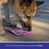 Cooper's Treats Pupsicle Starter Kit - Easy, Homemade Frozen Dog Treat Mix (Two Jars of DIY Healthy Mix)
