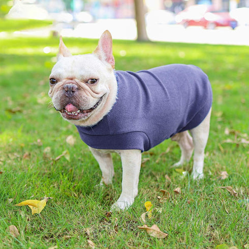 Small Dogs Fleece Sweatshirt - Cold Weather Hoodies, Thickening Warm Cat Sweater for Small Dog, Cat, Puppy (Small,