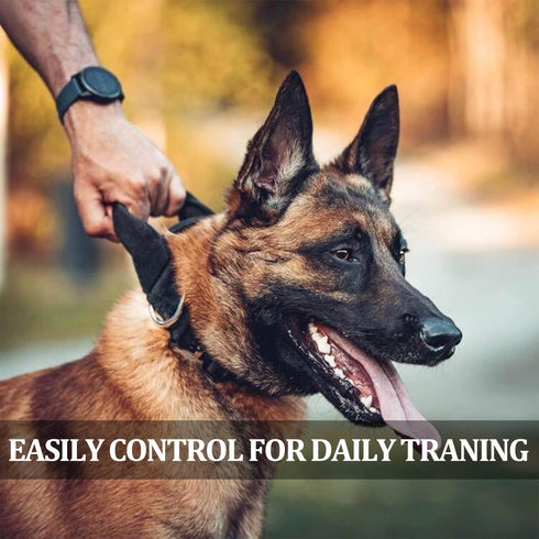 COOYOO 3-Piece Tactical Dog Collar Set - Adjustable Military Nylon with Control Handle and Heavy Metal Buckle for Dogs