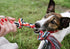 Fida Dog Rope Toys 4 Pack, Sturdy Cotton Chew Tug Ropes for Indoor/Outdoor, Interactive Tug o'war Toys for Small Dogs