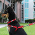 Pawtitas Solid Color Step-in Dog Harness - Large Purple for Puppy & Dog Training & Walking