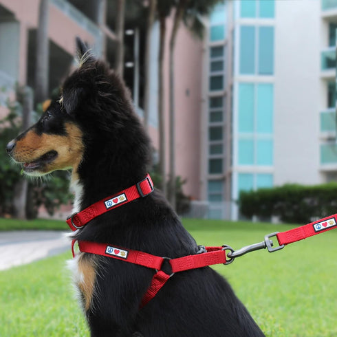 Pawtitas Adjustable Dog Collar for Large Dogs - Heavy Duty Waterproof Collar with Quick-Release Buckle