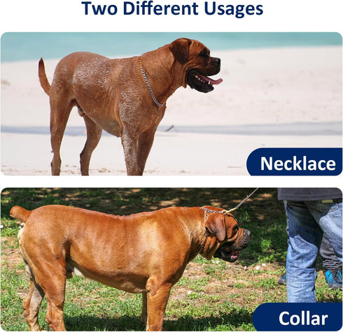 WePet Heavy Duty Metal Slip Dog Chain Collar, Durable Steel Cuban Links, Gold, XL, for Training and Control