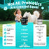 10B 5 5 90 Count Probiotics for Dogs, Digestive Enzymes & Pumpkin Fiber for Gut Health and Bowel Support, Dog