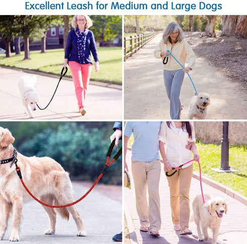 Fullgaden 5 FT Reflective Dog Leash - Heavy Duty with Comfortable Padded Handle, Blue