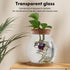 POPETPOP Round Small Fish Bowl, 5.11 x 5.50 Inch Glass Betta Fish Tank with Wood Stopper