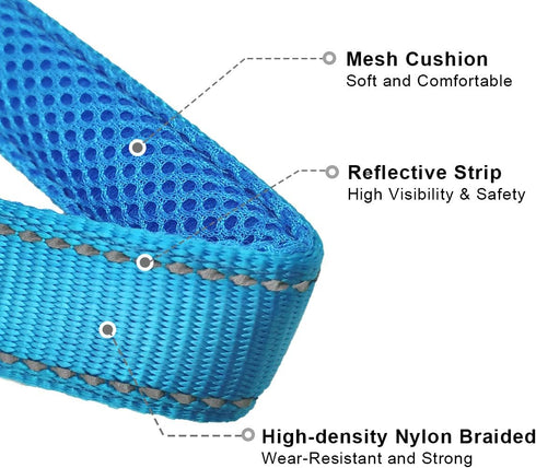 Reflective Slip Collar | Loop Dog Collar for Training with Soft Padded in Teal 22", 1" Wide