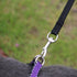 AMAGOOD 6 FT Cat Leash, Durable Traditional Style with Easy Collar Hook, Great for Cats (3/8 in x 6 ft, Black and