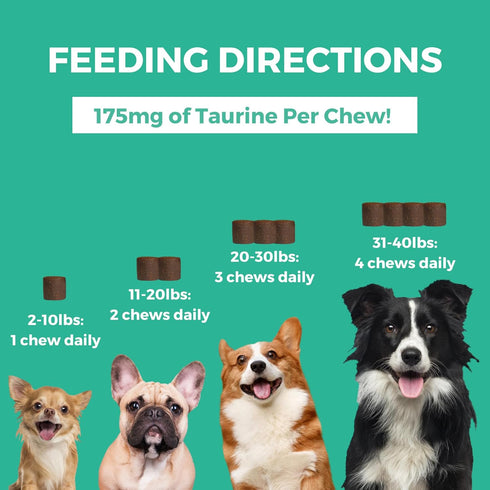 Nootie Progility Mini Multivitamin for Small Dogs, 60 Soft Chews with Taurine Supplement