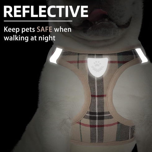 PUPTECK Adjustable Dog Harness Collar and Leash Set, Step in No Pull Pet Harness for Small Medium Dogs, Beige