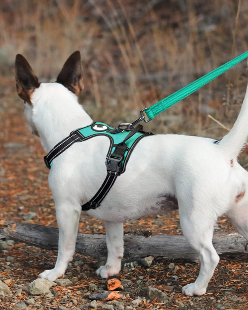 Joytale Double-Sided Reflective Dog Leash, 6 FT/5 FT/4 FT, Padded Handle Nylon for Medium & Large Dogs, Teal