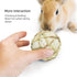 andwe Small Animals Play Balls, Rolling Chew Toys & Gnawing Treats for Rabbits, Guinea Pigs, Pack of 4