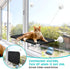 Cat Window Perch, Cat Window Hammock with Space Saving Design, Mounted by Powerful Screw Suction Cups, is Safety and Sturdy Bed for cat