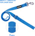 azuza 3 Pack Nylon Dog Leashes - Strong & Durable Basic Style Leash for Large Dogs, Royal Blue/Blue/Green