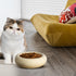 6.1 Inch Yellow Cat Bowls, 7 oz Ceramic Cat Food Bowl, Anti-Vomiting, Whisker Fatigue Relief, Protect Spine for Indoor